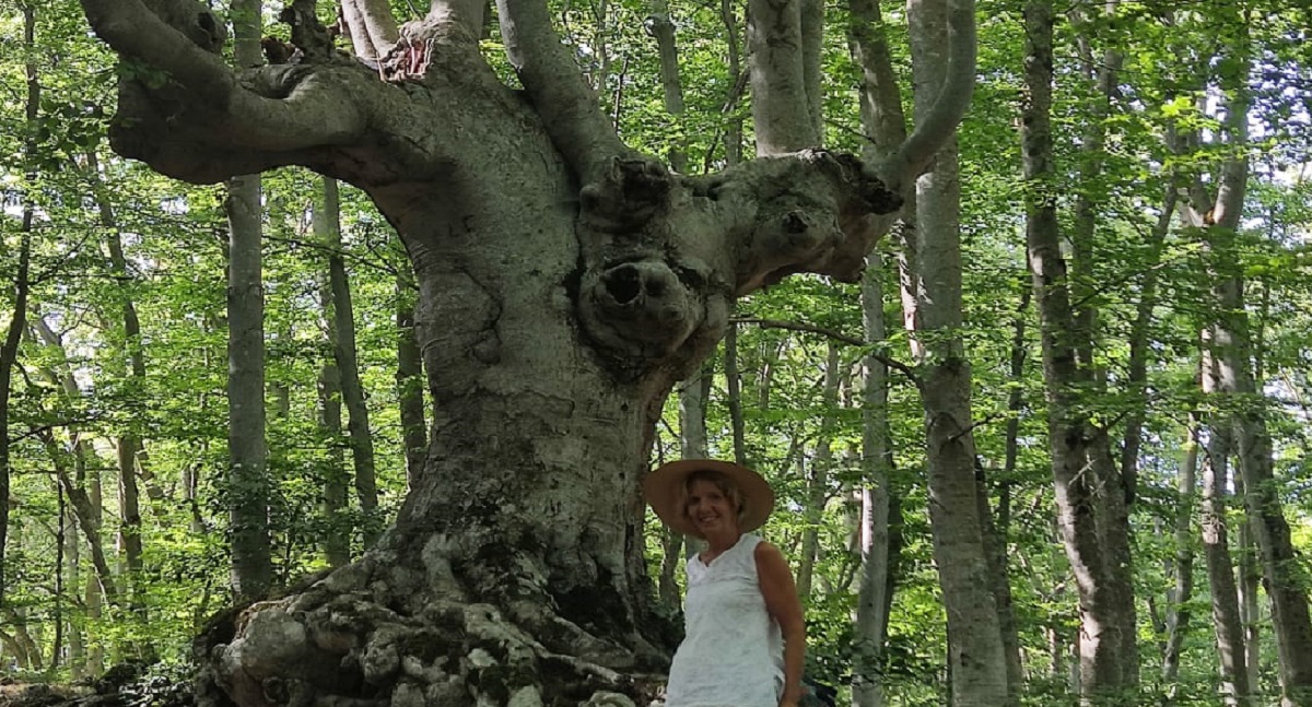 Me in front of a beech tree, il Bosco di Sant'Antonio