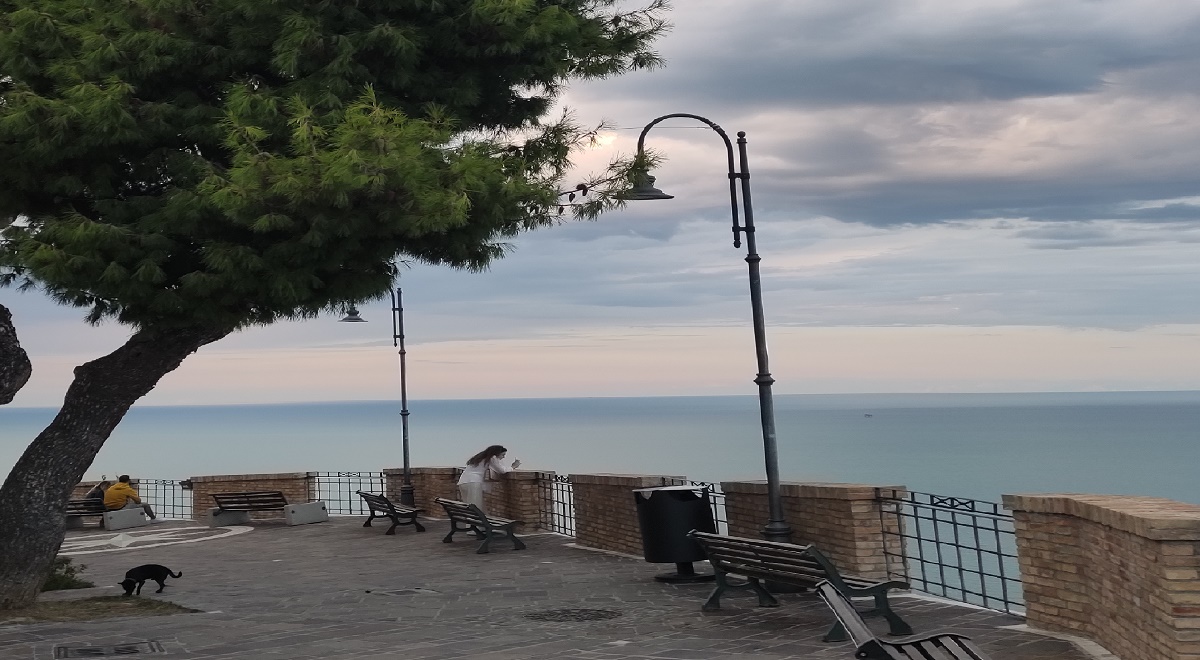 pine tree, wall and sea view from Silvi