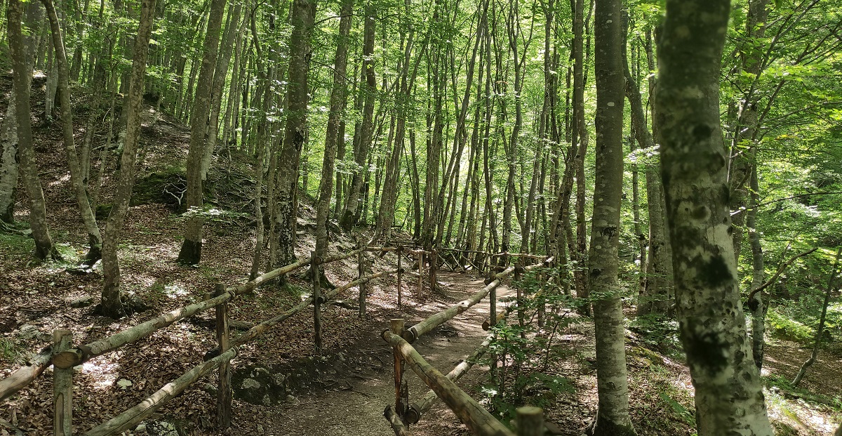 Walk through trees near waterfalls, Camosciara