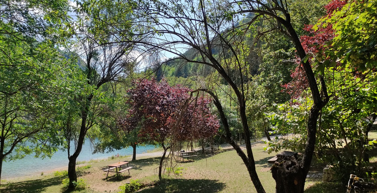 picnic area, with tables under the trees