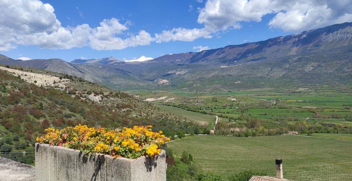 Flowers in foreground, valley and mountains