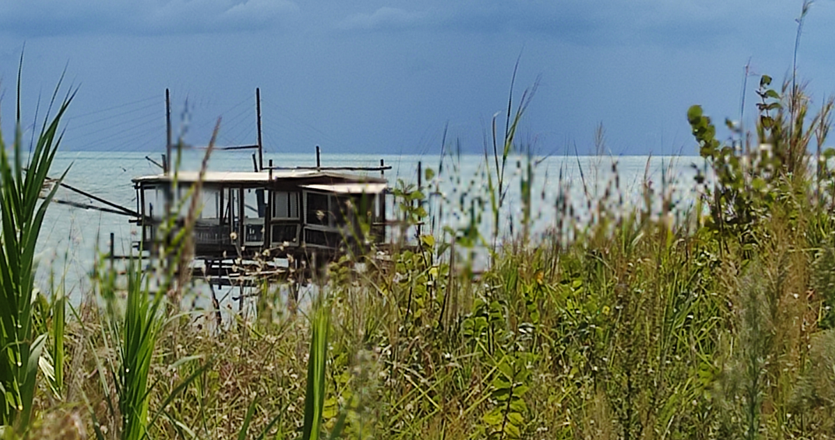 Trabocco with vegetation in foreground