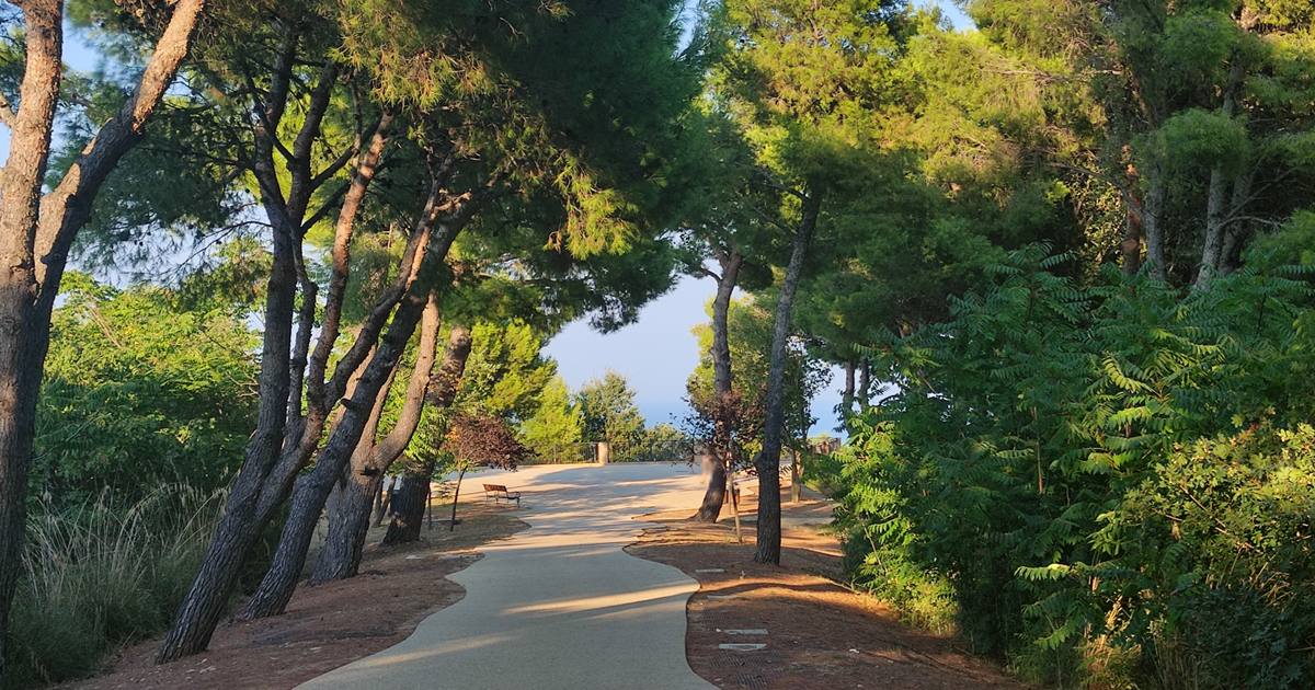 Path to bellosguardo, shaded by pine trees